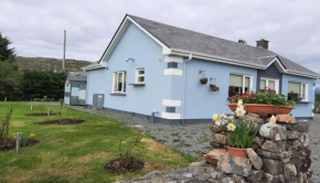 Clifden Wildflower Cottage - Clifden Countryside Lettings